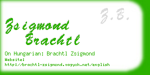 zsigmond brachtl business card